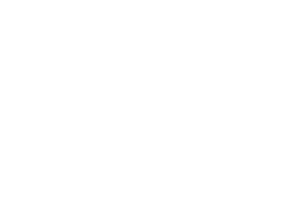 the air charter association