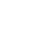alpha jet