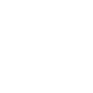 alpha jet