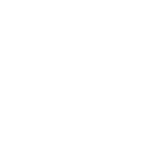 iborjet