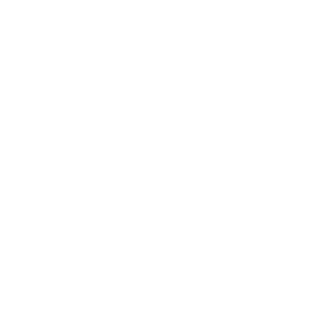 iborjet