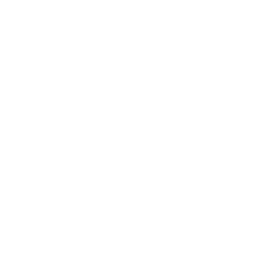 nile air