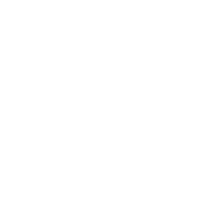 DALLO AIRLINES