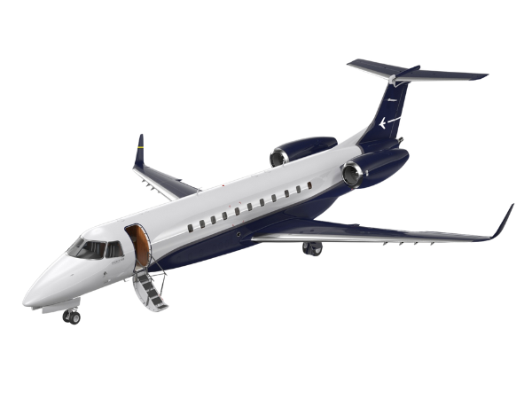 Legacy 650 1