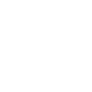 anap jets