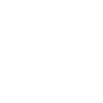 vueling