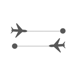 Plane Icon