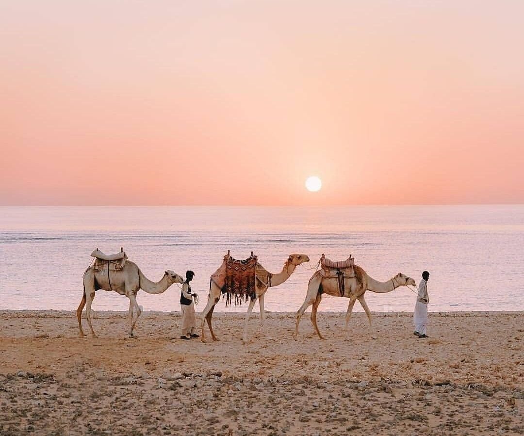 Bergamo to Marsa Alam